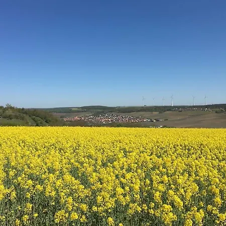 Ferienwohnung Weinbergsblick Optimale Stadtnaehe Ochsenfurt Exterior foto