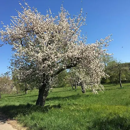 Ferienwohnung Weinbergsblick Optimale Stadtnaehe Ochsenfurt Exterior foto